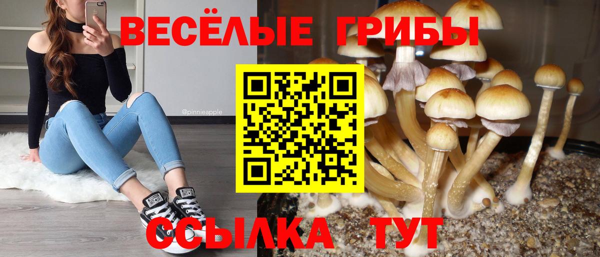 Галлюциногенные грибы MAGIC MUSHROOMS  Вход с VPN  наркота  Ливны 