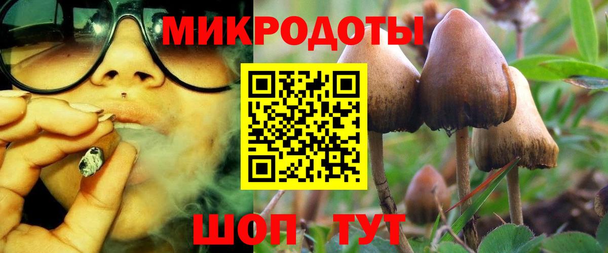 Галлюциногенные грибы мухоморы Ливны